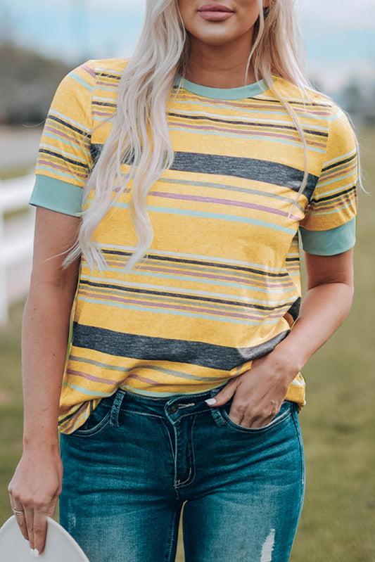 Pink Multicolor Stripes Crew Neck T Shirt