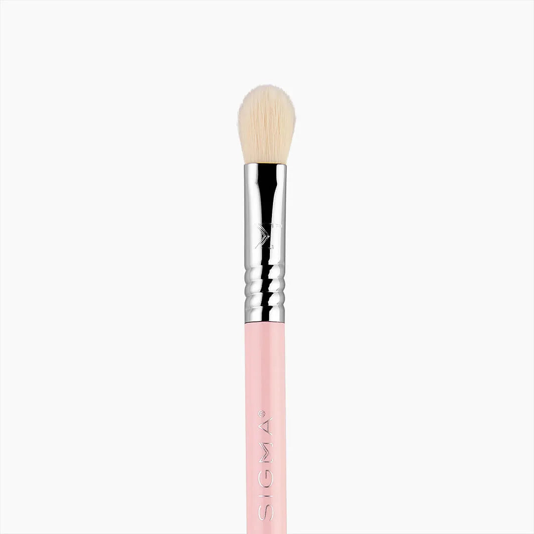 Essential Trio Brush Set (Pink)